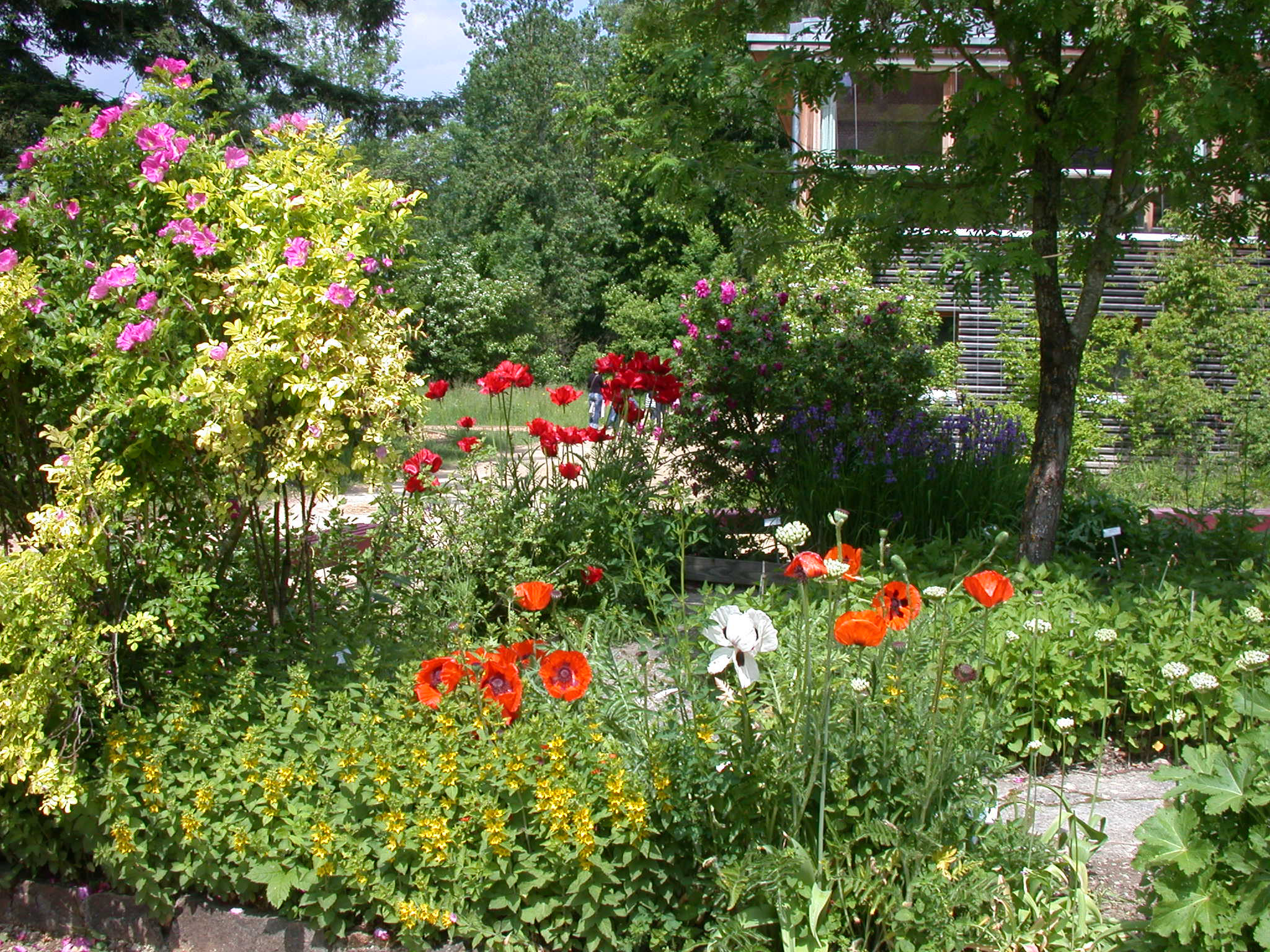 Photos pour les médias «Réserves naturelles et jardins de ChampPittet