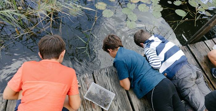 Kind fischt Insekten im Ried