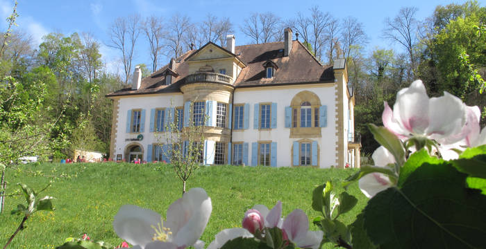 Restaurantsterrasse in Champ-Pittet © Pro Natura