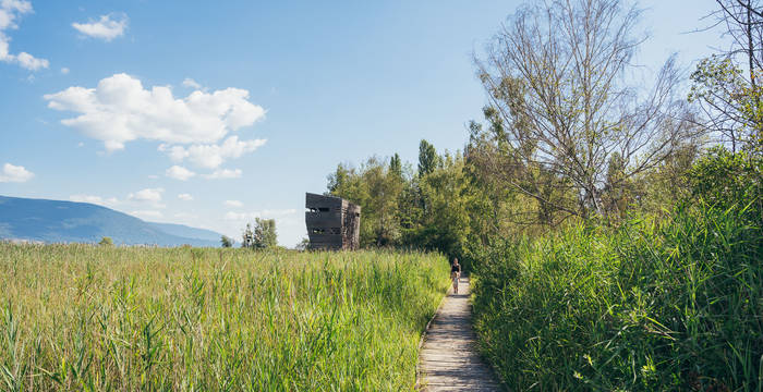 Steg in Richtung Zentrum © Pro Natura Champ-Pittet
