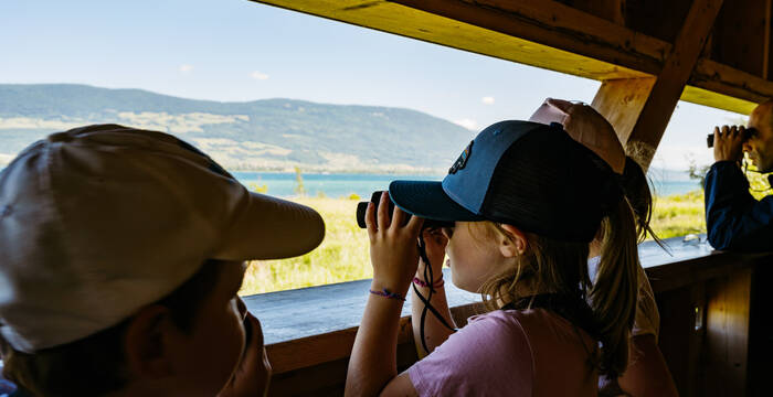 Observatoire
