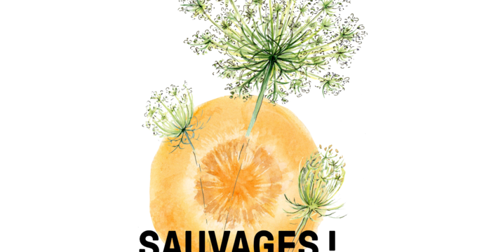 sauvages
