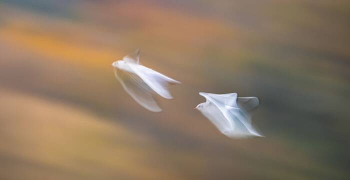 Au seuil de l'invisible
