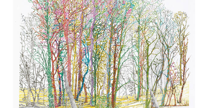 Photo Véronique Walter