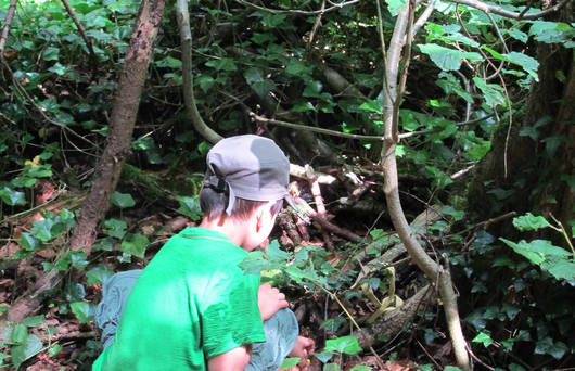 Kind erforscht den Waldboden