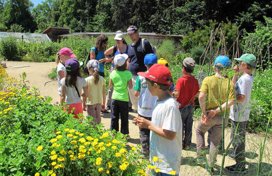 Schulklasse im Garten