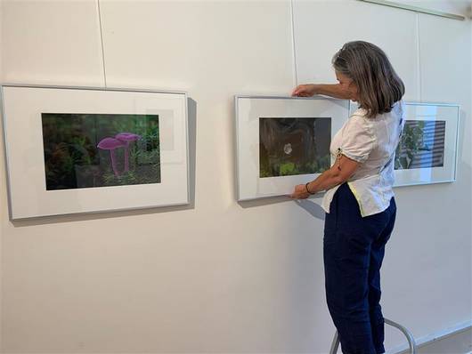 Exposition artistique