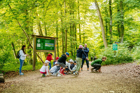 Grenouille pro natura