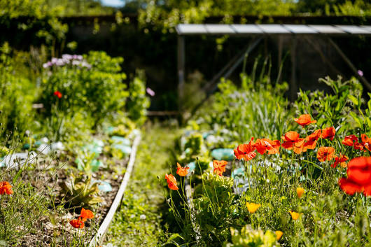 Jardins @Raphaël Dupertuis