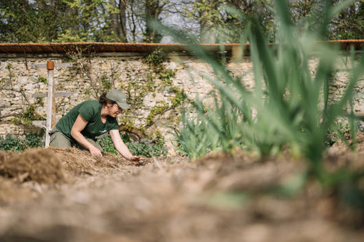 Formation jardin