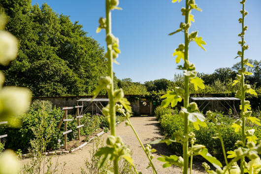 Jardin des délices - Raphael Dupertuis