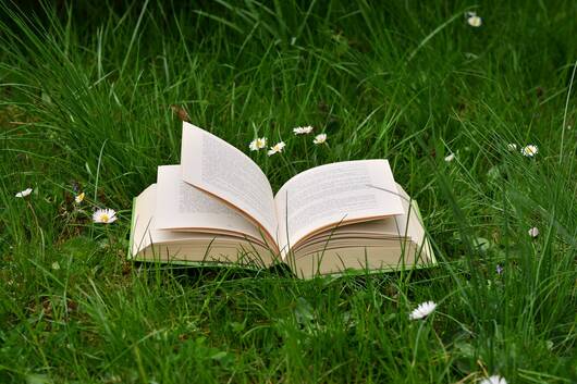 livre prairie