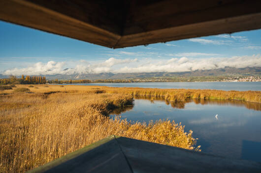 Marais depuis la tour