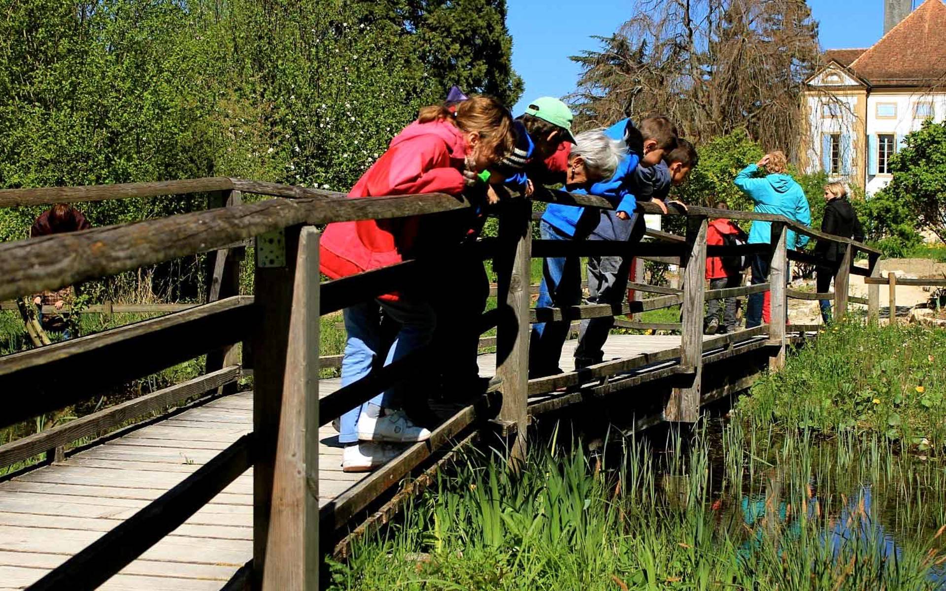 Anniversaires D Enfants Pro Natura Anniversaires D Enfants Pro Natura