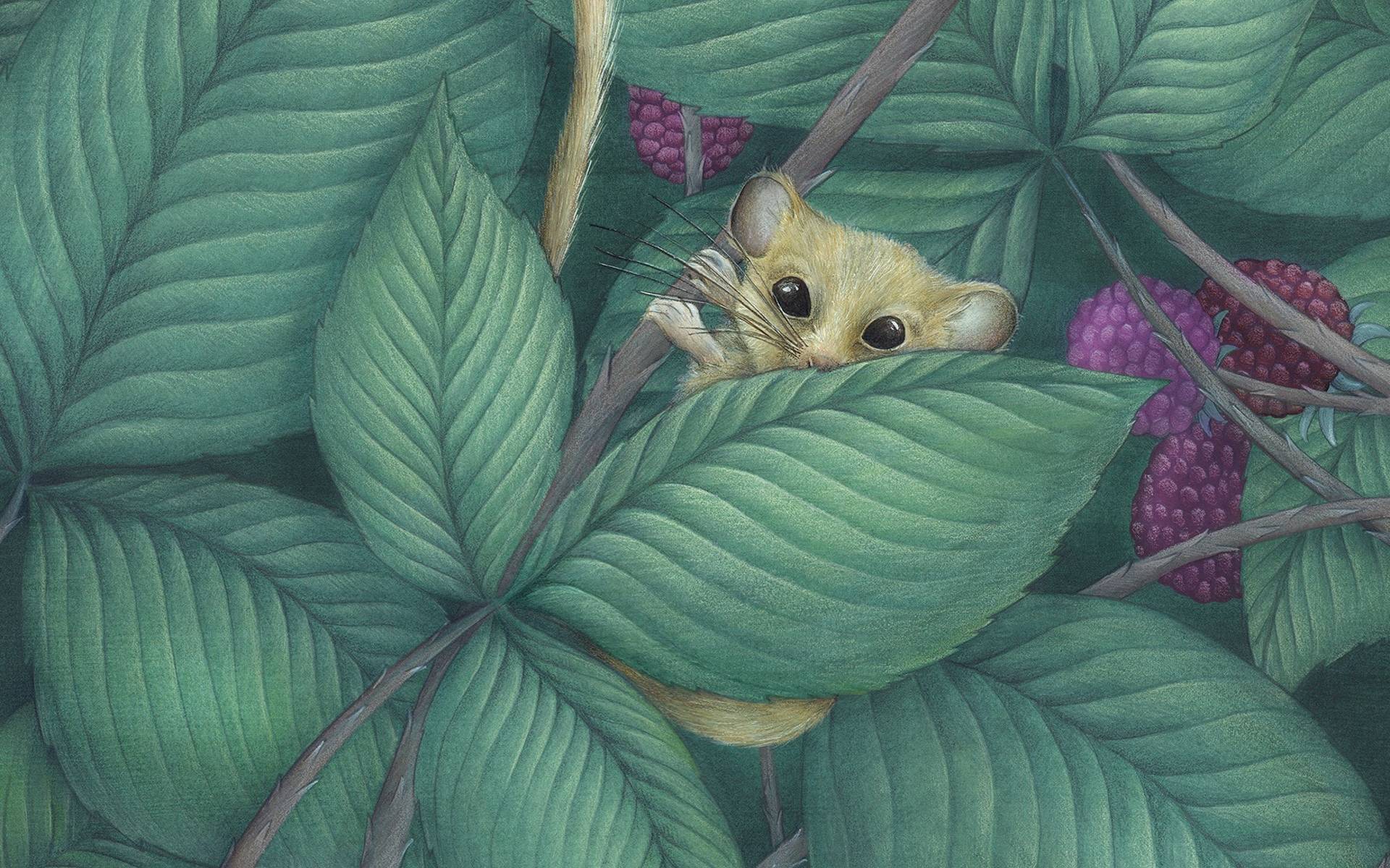 Haselmaus