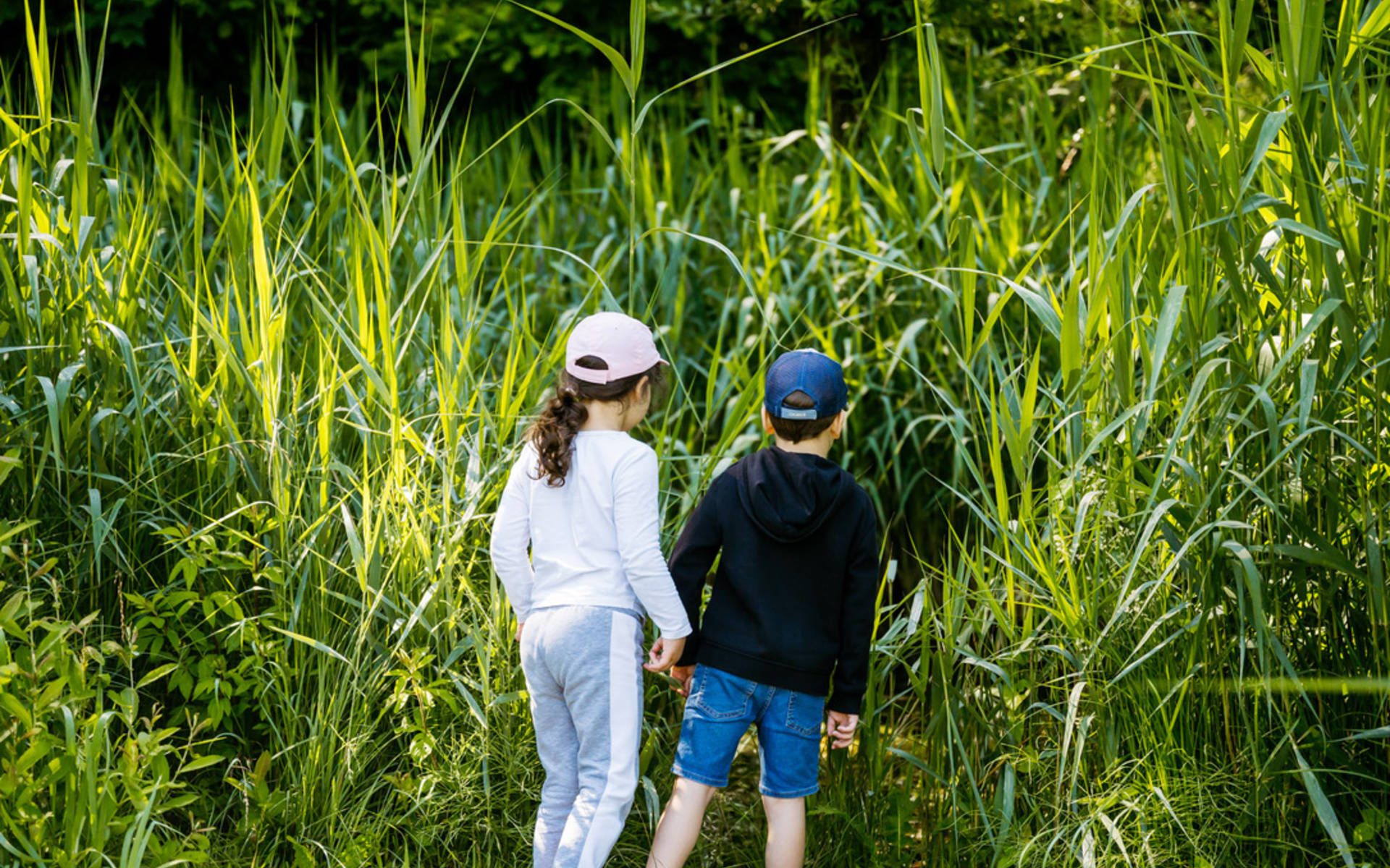 Kinder beobachten das Ried von Brücke © Pro Natura