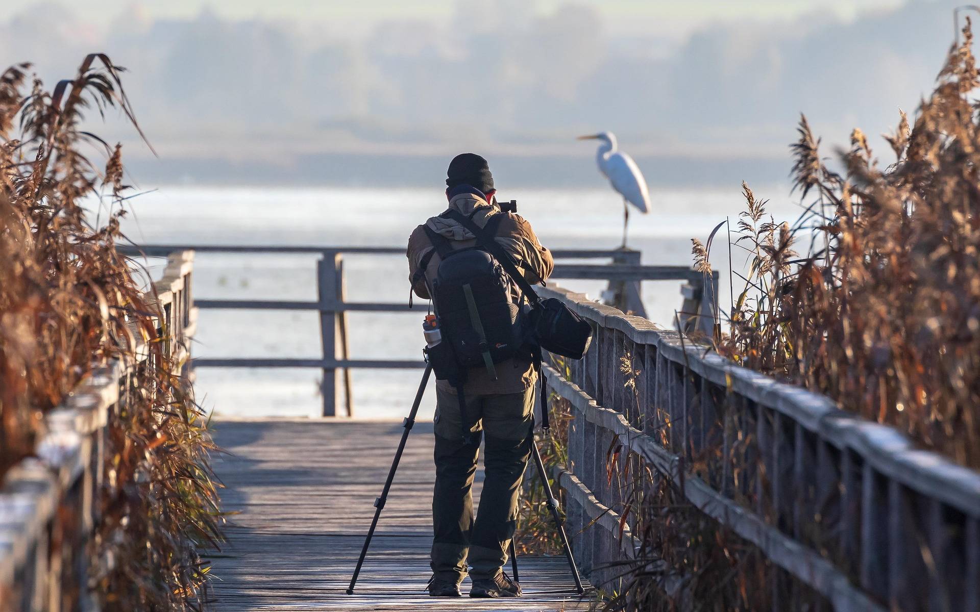 Photographe