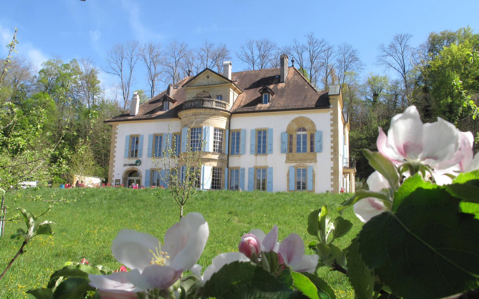 Château de Champ-Pittet