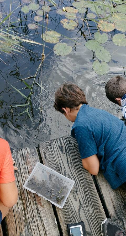Kind fischt Insekten im Ried
