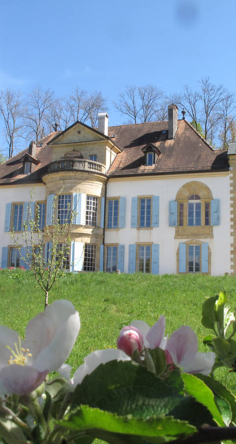 Château
