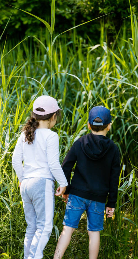 Kinder beobachten das Ried von Brücke