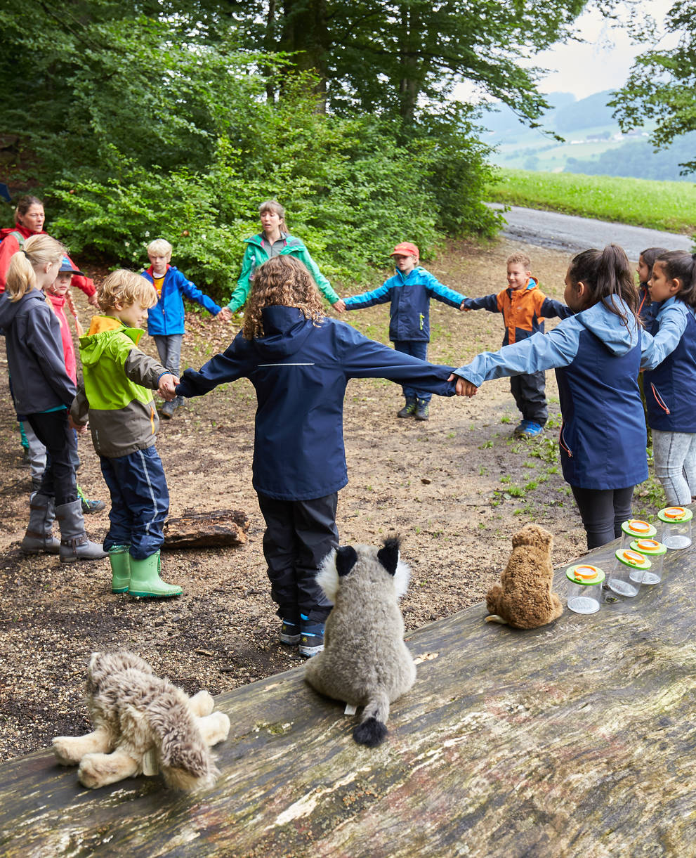 Kinder im Wald