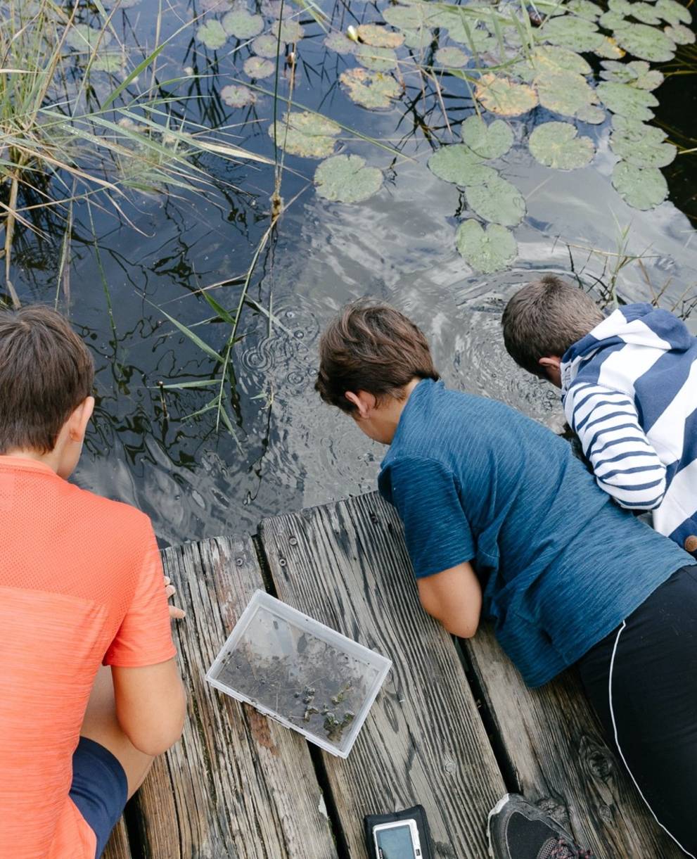 Kind fischt Insekten im Ried