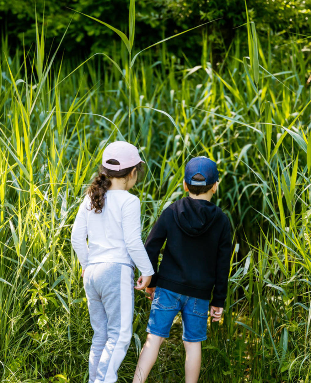 Kinder beobachten das Ried von Brücke