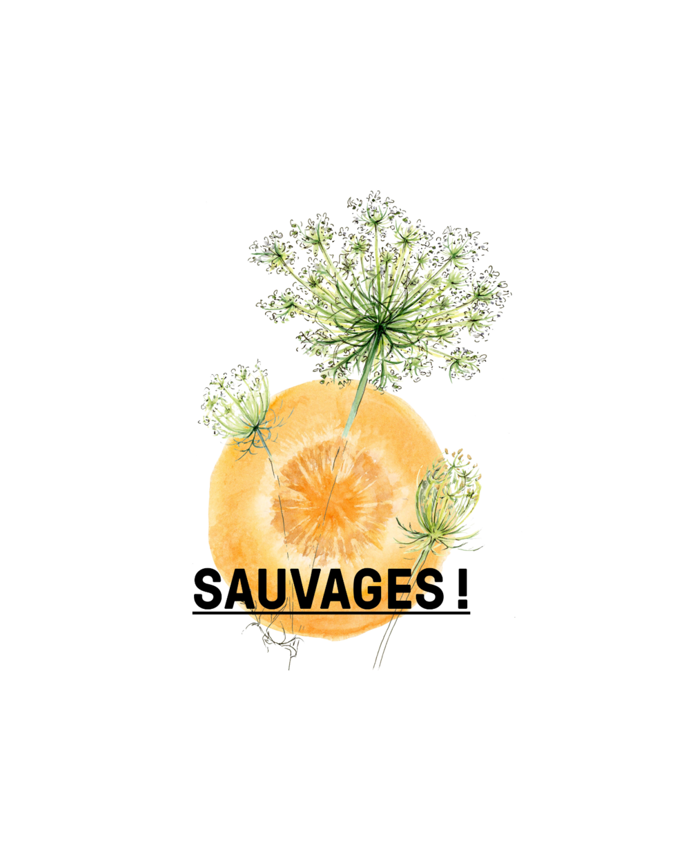 sauvages