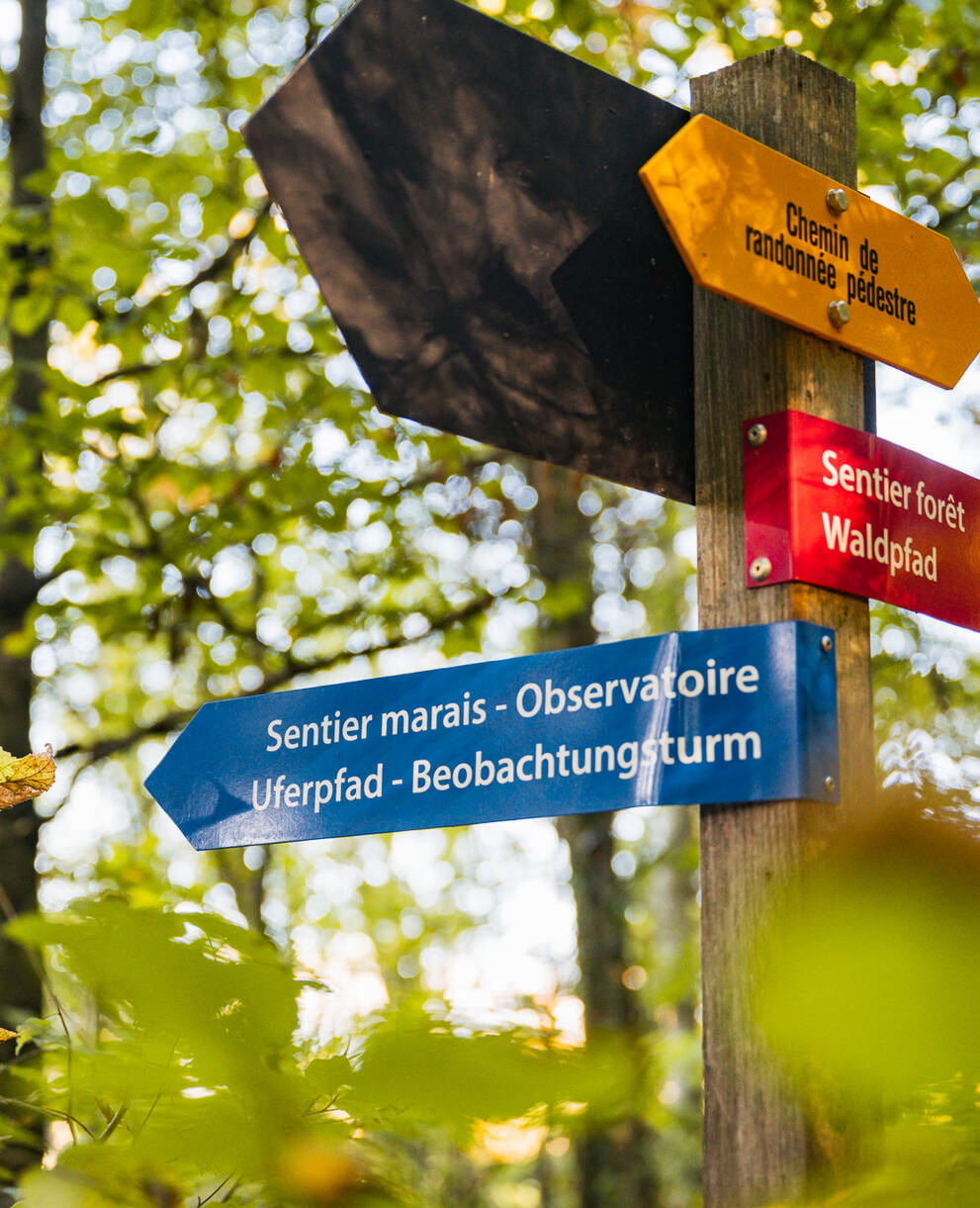 Signalétique