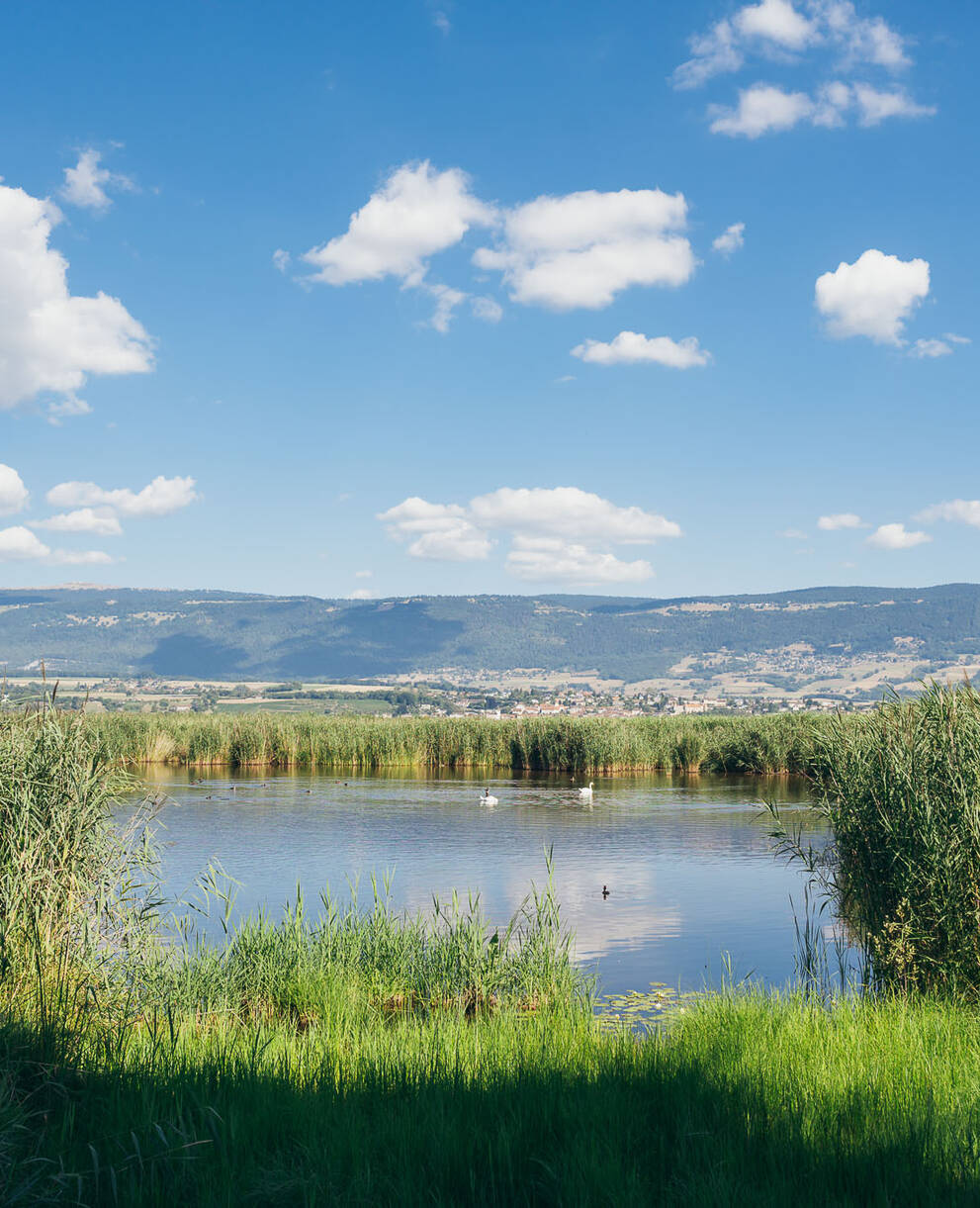 Marais