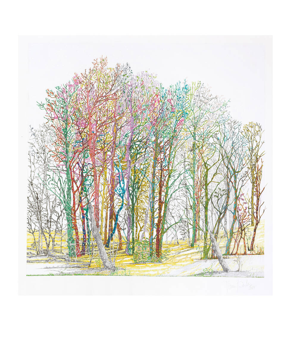 Photo Véronique Walter